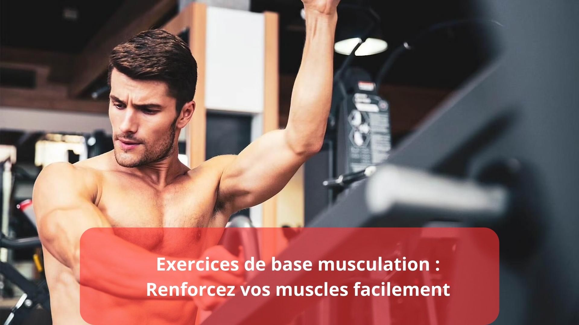 exercices de base musculation