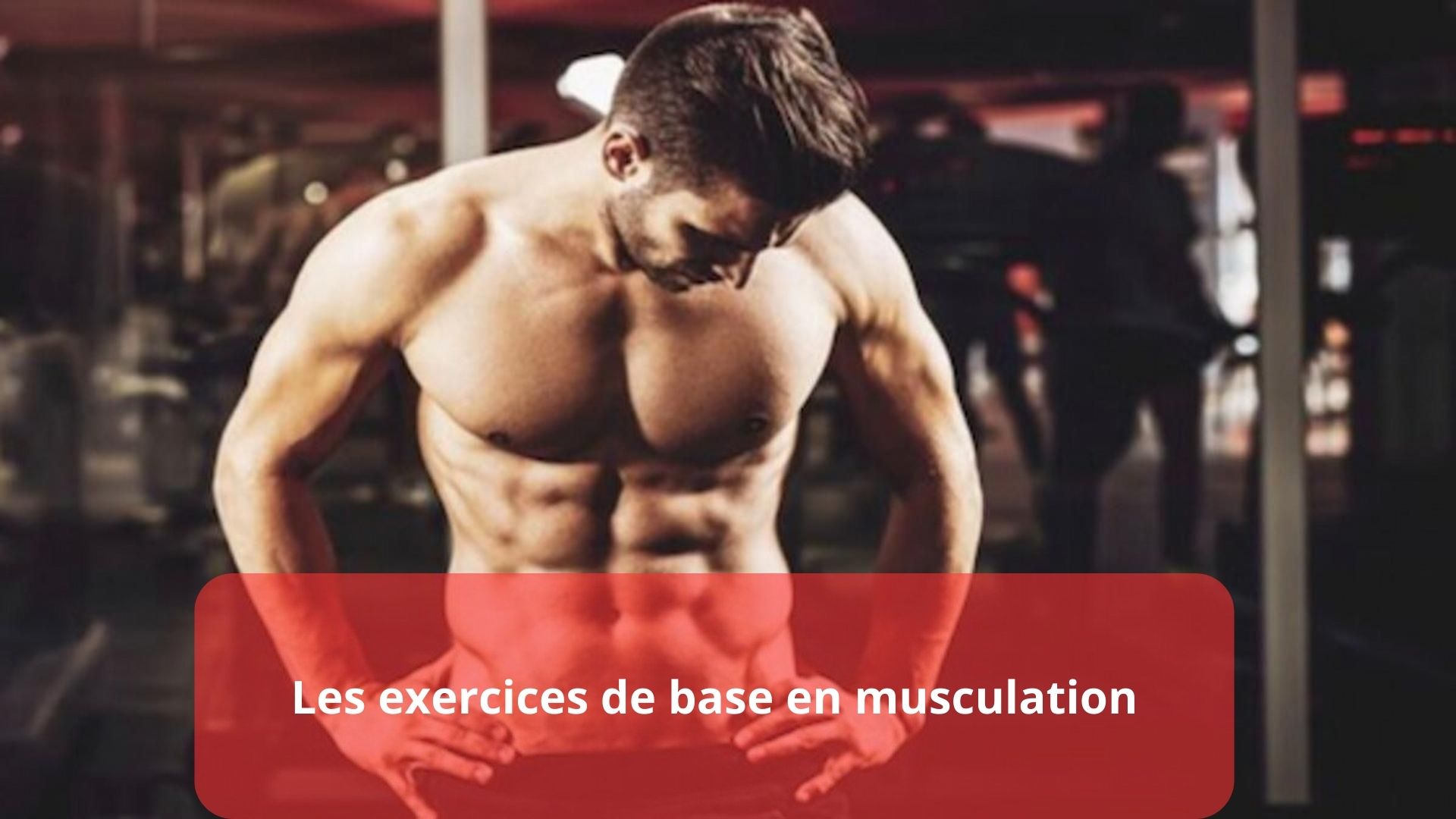 exercices pour les jambes